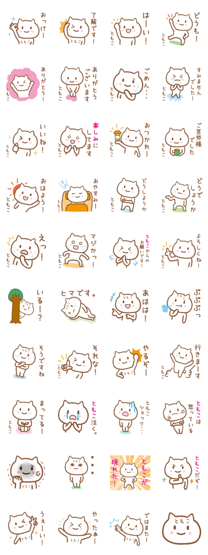 Cat TO TOMOKO Cat TO TOMOKO