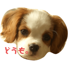 Yuka_20210121192439