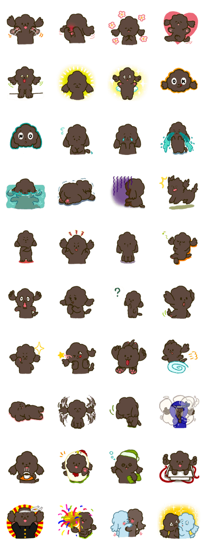 Toy poodle (Brown cafe au lait) Toy poodle (Brown cafe au lait)