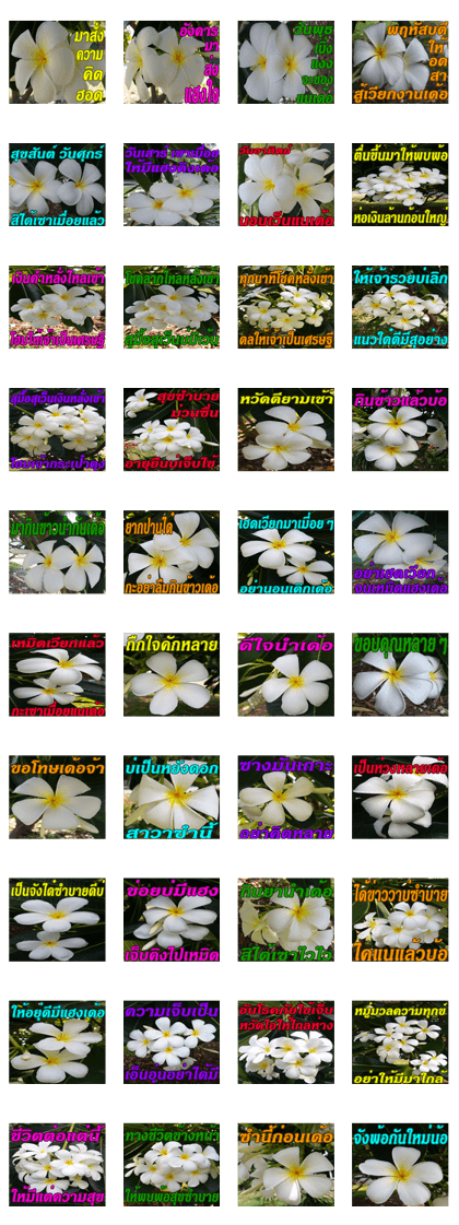 Plumeria of happiness northeast V. 2 Plumeria of happiness northeast V. 2