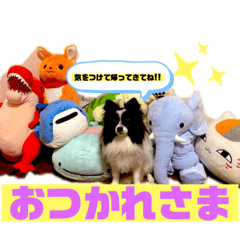 KANAE_20210121230504