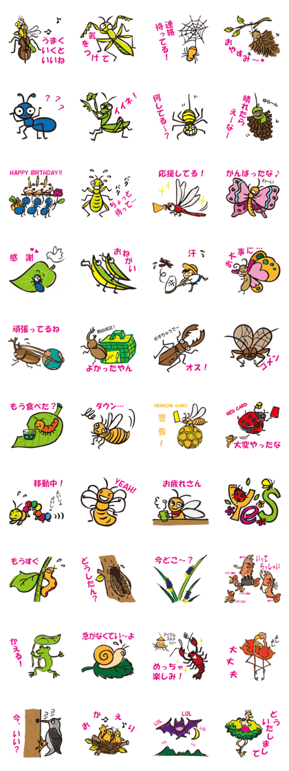 insect therapy insect therapy