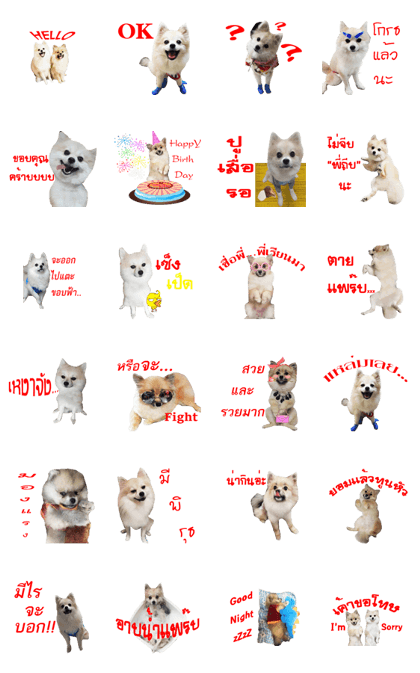 POMPOM - WK POMPOM - WK