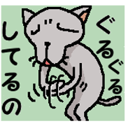 He is a cat named Gal 13