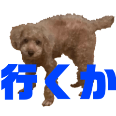 chihiro_20210122051318