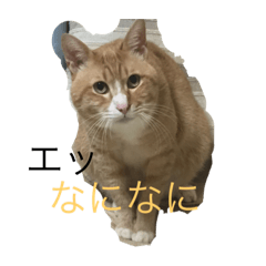 yamada_20210122073636