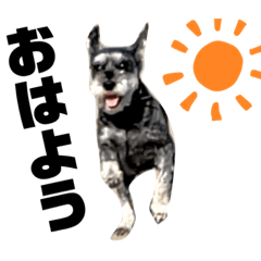 nanami_20210122103706