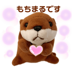 Mochimaru the Otter