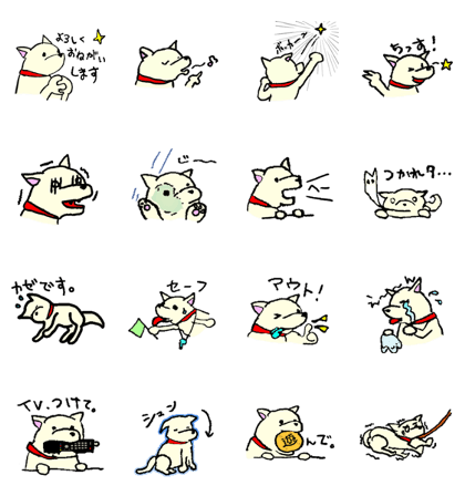 White Shiba Dog3 White Shiba Dog3