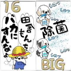 【Big】シーズー犬16『何となく日常を』