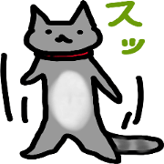 She is Chartreux cat.