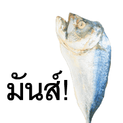 ปลาทู คะนอง