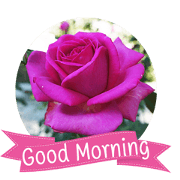 Flora Greeting Flora Greeting