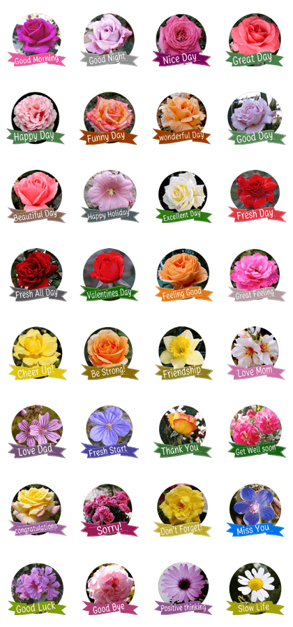 Flora Greeting Flora Greeting