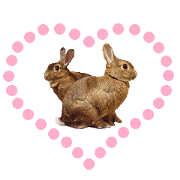 House fluffy rabbit(LOVE) House fluffy rabbit(LOVE)