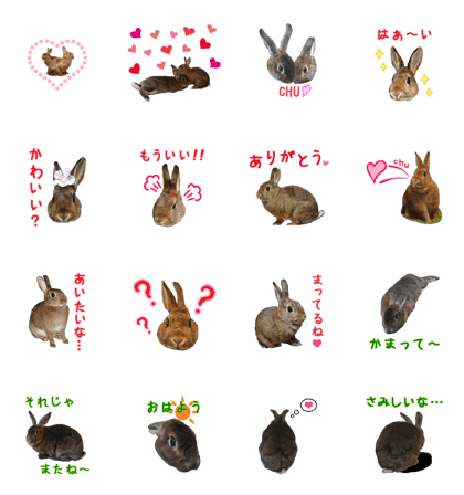 House fluffy rabbit(LOVE) House fluffy rabbit(LOVE)