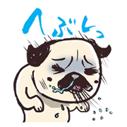 KOBUSHI'S LIFE KOBUSHI'S LIFE