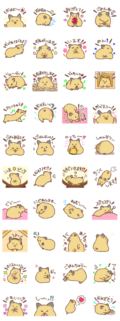 "Ninton"of syrian hamster "Ninton"of syrian hamster