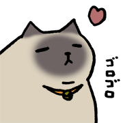 My prince cat YUZU My prince cat YUZU