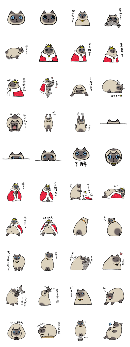 My prince cat YUZU My prince cat YUZU