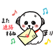 Daily use sticker of the dog "Marubo" Daily use sticker of the dog "Marubo"