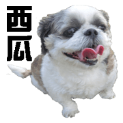 Watermelon In Summer-Watermelon Watermelon In Summer-Watermelon