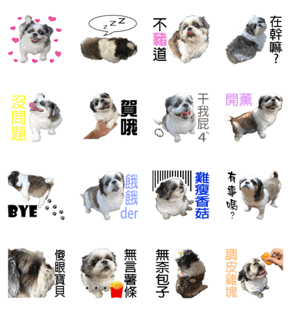 Watermelon In Summer-Watermelon Watermelon In Summer-Watermelon