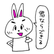 Eyebrow rabbit everyday 2