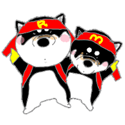 Midget Shiba MagRob and friends 8