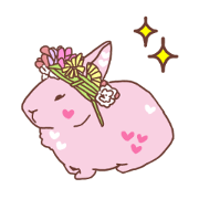 Pinky heart rabbit Pinky heart rabbit