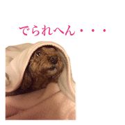 Cute Lilo vol.2 Cute Lilo vol.2