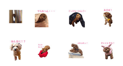 Cute Lilo vol.2 Cute Lilo vol.2