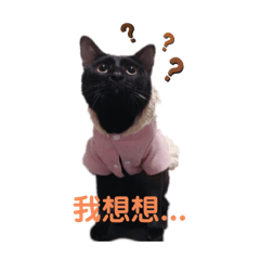 天天來了