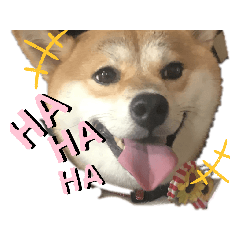 hana_20210122133853