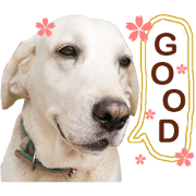 many many 1 many many 1