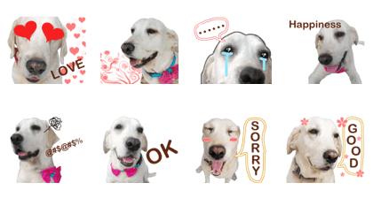 many many 1 many many 1