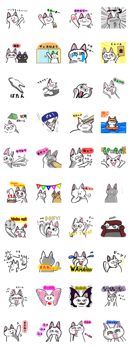 Conversation of the white cat Conversation of the white cat