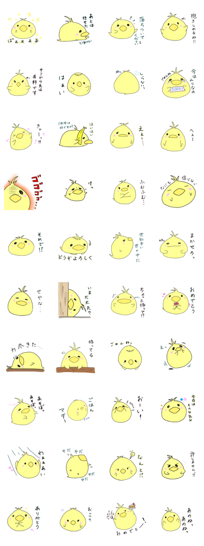 chick cocco chick cocco