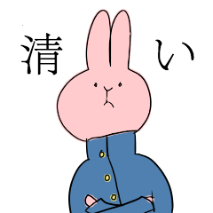 Junior High School Student Lover Rabbit