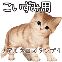 Koizumi Real pretty cats 4