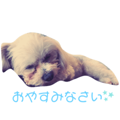 chihiro_20210122143352