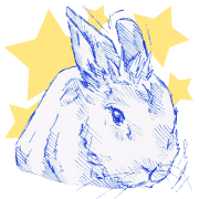 Bunny life Bunny life