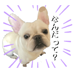 ak@ko_20210122154714