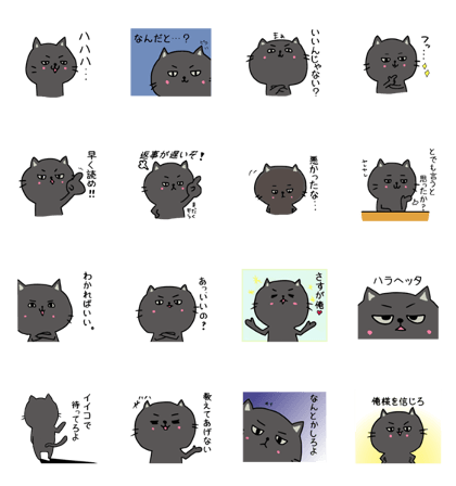 'Oresama' Black cat. 'Oresama' Black cat.