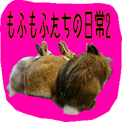 Daily life conversation of the rabbit 2