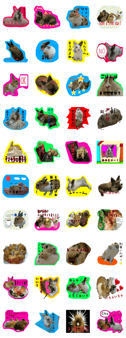 Daily life conversation of the rabbit 2