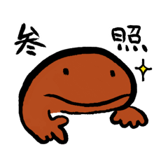 Reference salamander