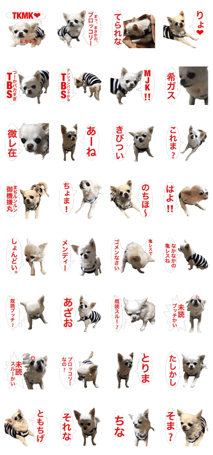 Mr.Thank you and amusing friends 24