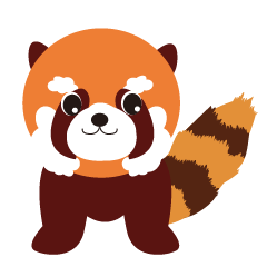 red panda ARAI_san