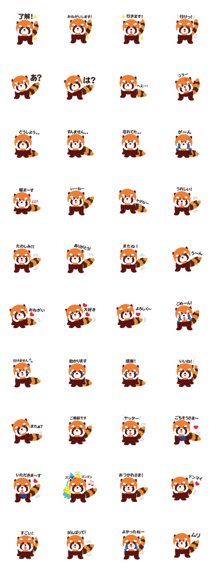 red panda ARAI_san red panda ARAI_san